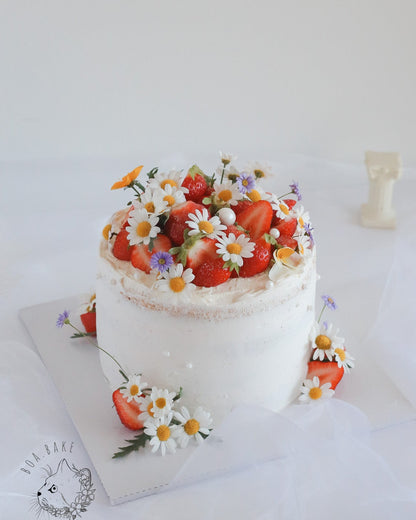 Vanilla-fruits cake (L)